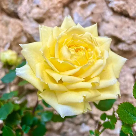 Ballkon Turi Nocleg ze śniadaniem