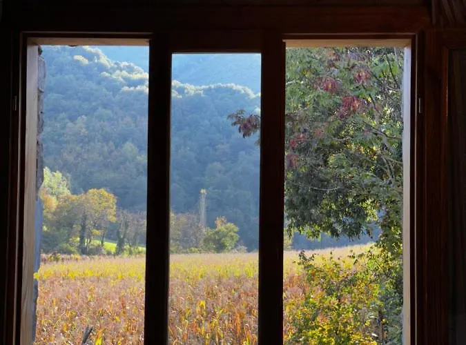 Bed & Breakfast Ballkon Turi *