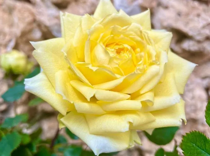 Ballkon Turi לינה וארוחת בוקר